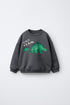 DINOSAUR PRINT SWEATSHIRT