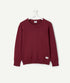 EYE-GATCHING burgundy cotton boy's sweater