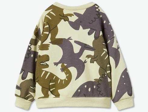 ZARA Dino Sweatshirt for Kids