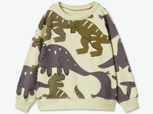 ZARA Dino Sweatshirt for Kids