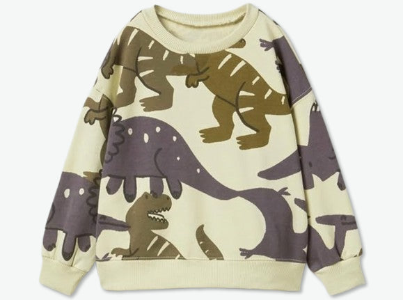 ZARA Dino Sweatshirt for Kids
