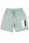 Lefties Solid Shorts