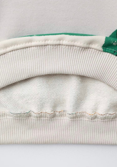 ZARA DINOSAUR PRINT SWEATSHIRT