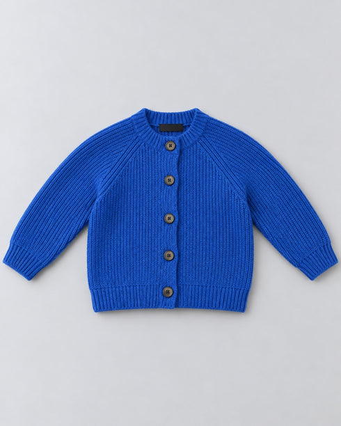 Next Kids Ribbed Knit Button-Up Cardigan – Royal Blue